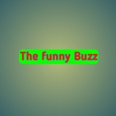 The Funny Buzz
