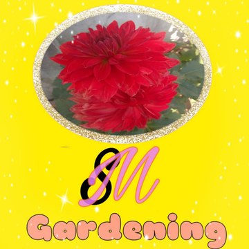 SM Gardening