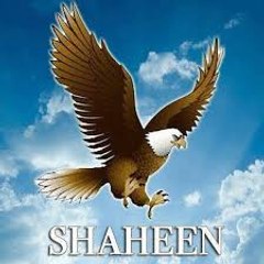 Prize Bond Shaheen