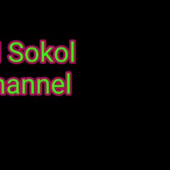 AM Sokol Channel