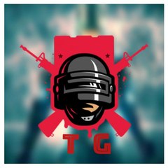 Tireless Gamer