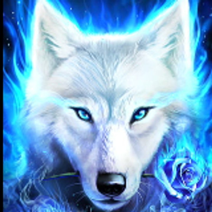 Dailymotion profile picture for @Whitewolf