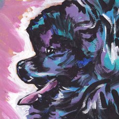 KO GAMING YouTube gamer...........................