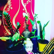 Gardening with Neetu