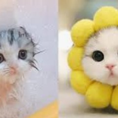 cute
