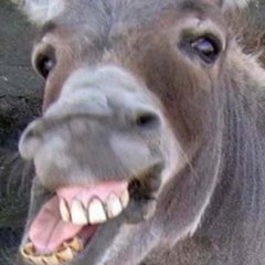 Most Exciting Videos