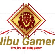 Nibu Gamer