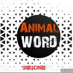 Animal Word