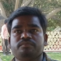 wt Success