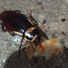 dm_63f82ee2296f48c0bb3e3a412357e027