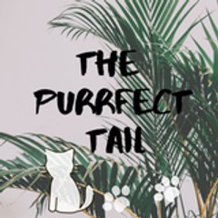 The Purrfect Tail