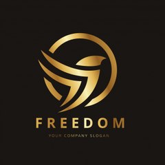 رؤيا للمعلوميات