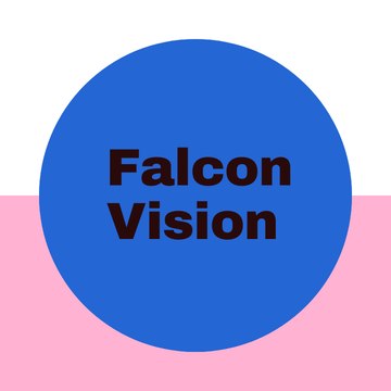 Falcon Vision