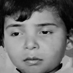 djamel