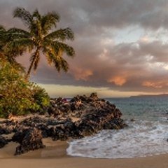 Relaxing Music and Nature Sounds