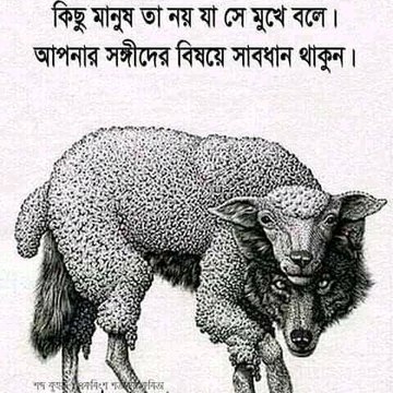Action Bangla 2020