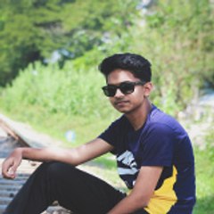 Munawar Hossain Mahdi