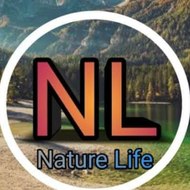 Nature and Life BD