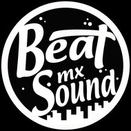 Beat Sound System MX