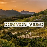 Common Video