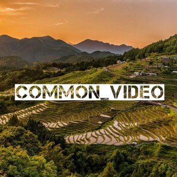Common Video