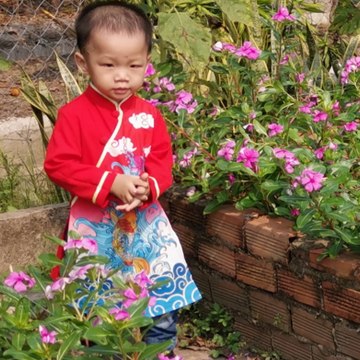 Phúc Gia Khang