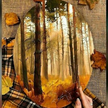 Art & Designs