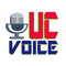 urdu  center voice