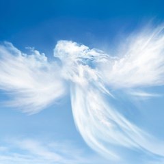 WhiteAngel