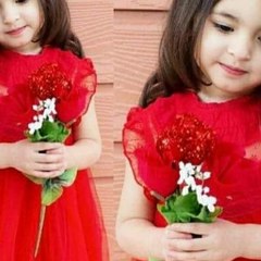 dm_e9c5e0141b359cffaccb38ae826b02e4
