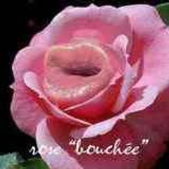 deborah80
