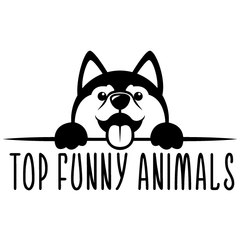 Top Funny Animals
