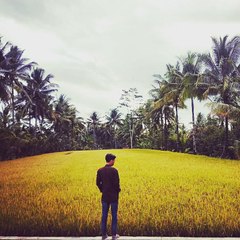 dm_0313dd42b710548da3544a97f195dde6