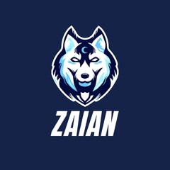 Zaian Farabi