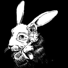 Follow The White Rabbit