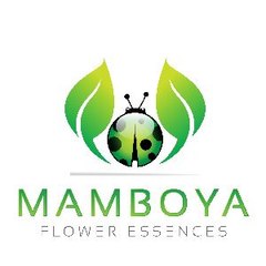 Mamboya