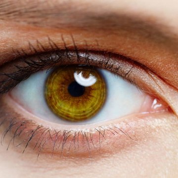 Schönes Auge