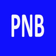 PNB bangla tech