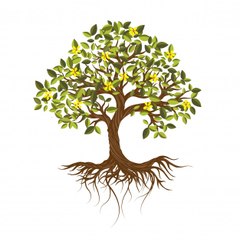 13.Home & Garden