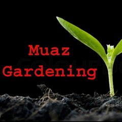 Muaz Gardening