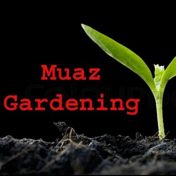 Muaz Gardening