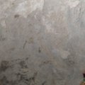dm_e88d9873e15a052fa58eb38004be1177