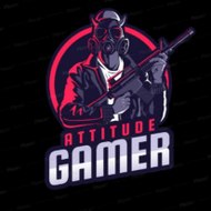 Vk attitude gamer