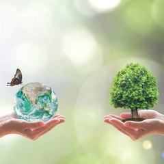 Natural Beauty of the Earth