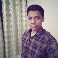 Raj Creations 401