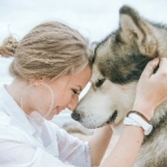 Love for Animals