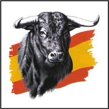 DETRÁS DE LA CÁMARA