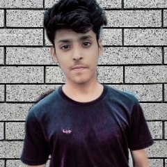 Rishabh Roast karega