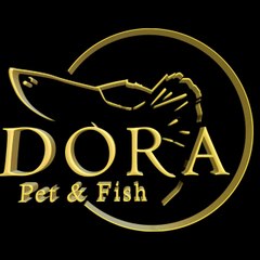 Dora Pet and Fish