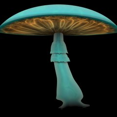 Home Mycology